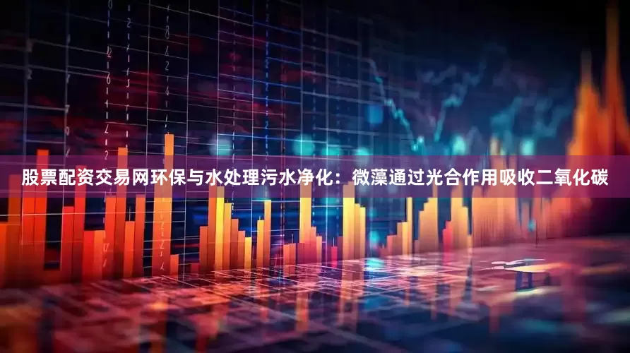 股票配资交易网环保与水处理污水净化：微藻通过光合作用吸收二氧化碳
